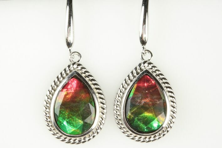 Stunning Ammolite Earrings with Sterling Silver #197662